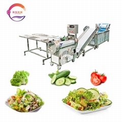 Automatic Leafy Fruit and Vegetable Salad Washing Cutting Production Line
