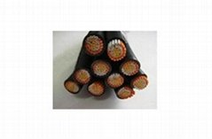 Cross-Linked Polyethylene Insulation Control Cable