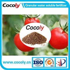 NPK+fulvic acid water soluble fertilizer cocoly brand