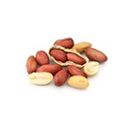 peanut kernel