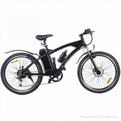 EN15194 & 250W high end electric bicycle