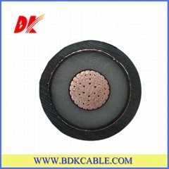 XLPE insulated and PVC sheathed power cable