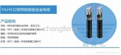 YJHLV22 XLPE insulated PVC sheathed power cable 