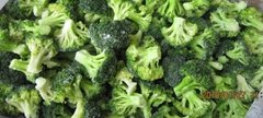 IQF Broccoli Florets,Fro (Hot Product - 1*)