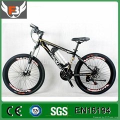 Popular Electric Bicycle Made in China