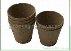 biodegradable flower pot
