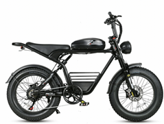 Electric bike M20 48V 16AH Electric Motorcycle 1000W High Power