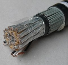 500V 20 Pairs CU XLPE IS OS SWA PVC Intrumentation Cable