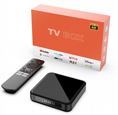 China tv box manufacturer Android 10.0 OS 4K Smart TV Box Allwinner H313 