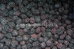 IQF Blackberries,Frozen  (Hot Product - 1*)