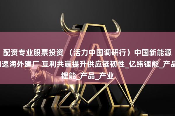 配资专业股票投资 （活力中国调研行）中国新能源企业加速海外建厂 互利共赢提升供应链韧性_亿纬锂能_产品_产业