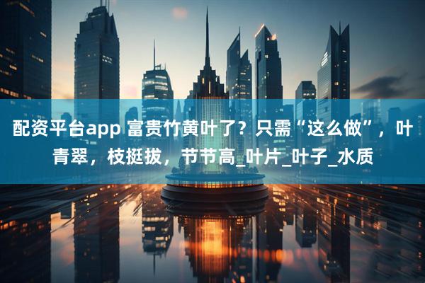 配资平台app 富贵竹黄叶了？只需“这么做”，叶青翠，枝挺拔，节节高_叶片_叶子_水质